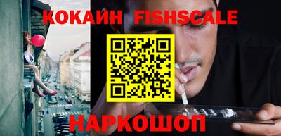 шишки Абакан
