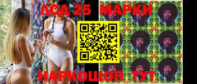 шишки Абакан