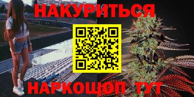 шишки Абакан