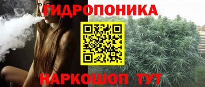 шишки Абакан