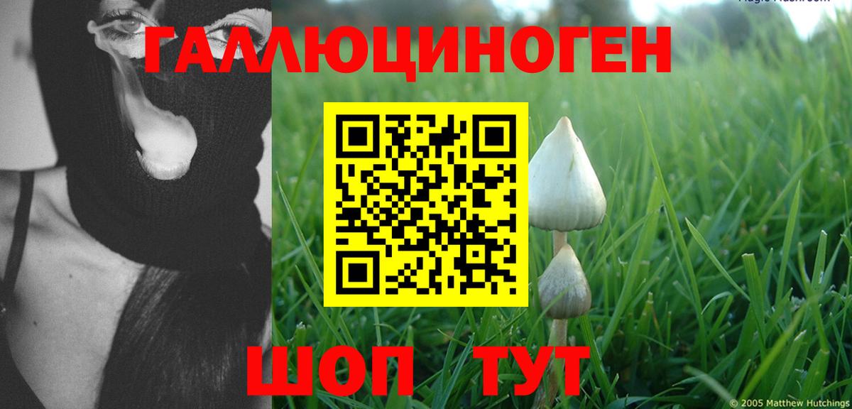 где можно купить наркотик  Галлюциногенные грибы мухоморы  Вход с VPN  Алексеевка 